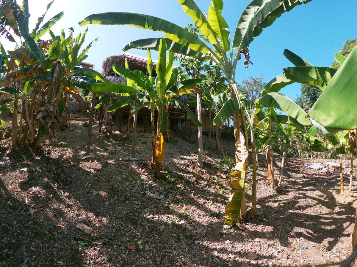Private Beach House Maloka Surf Puerto Limon Exterior photo